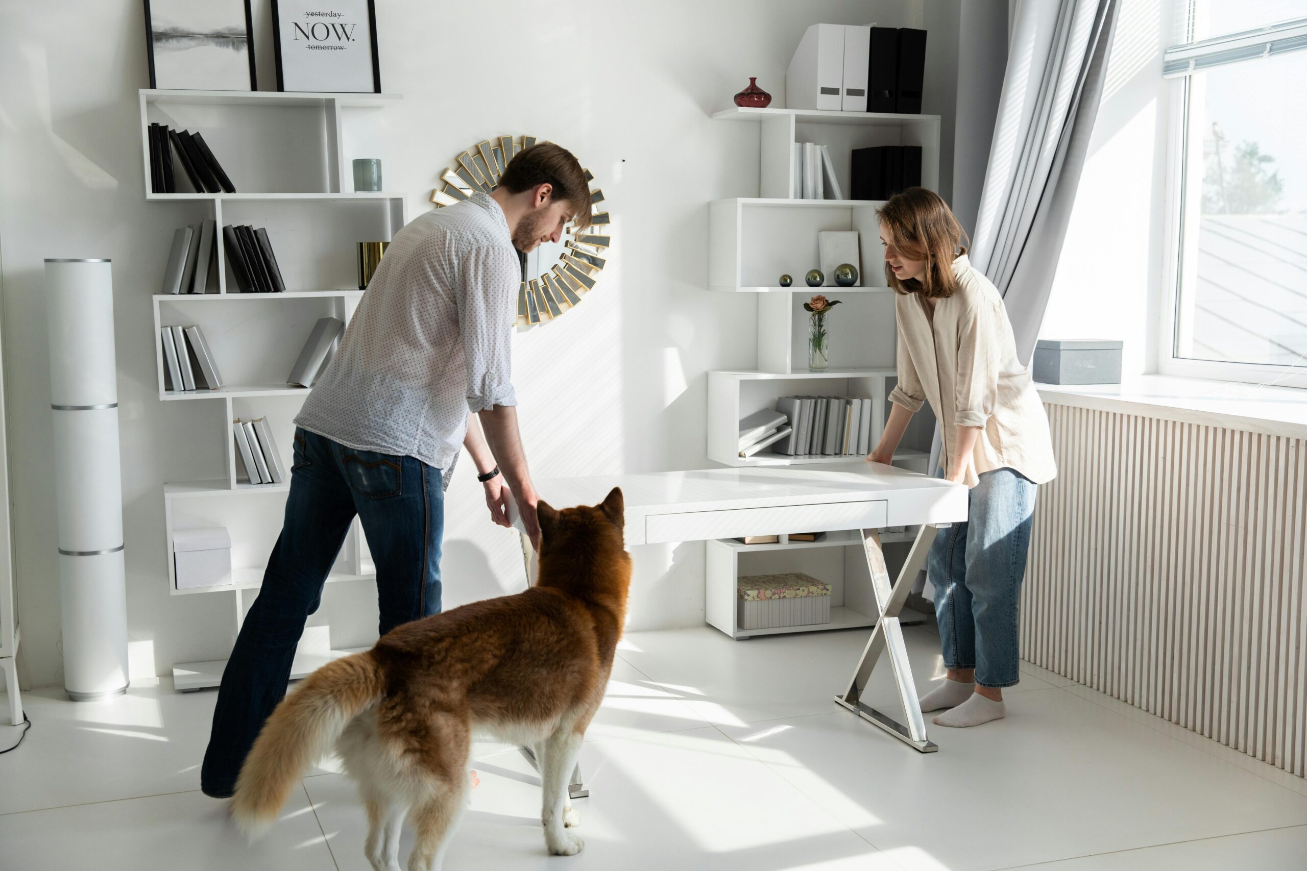 How To Create Pet Friendly Home Design