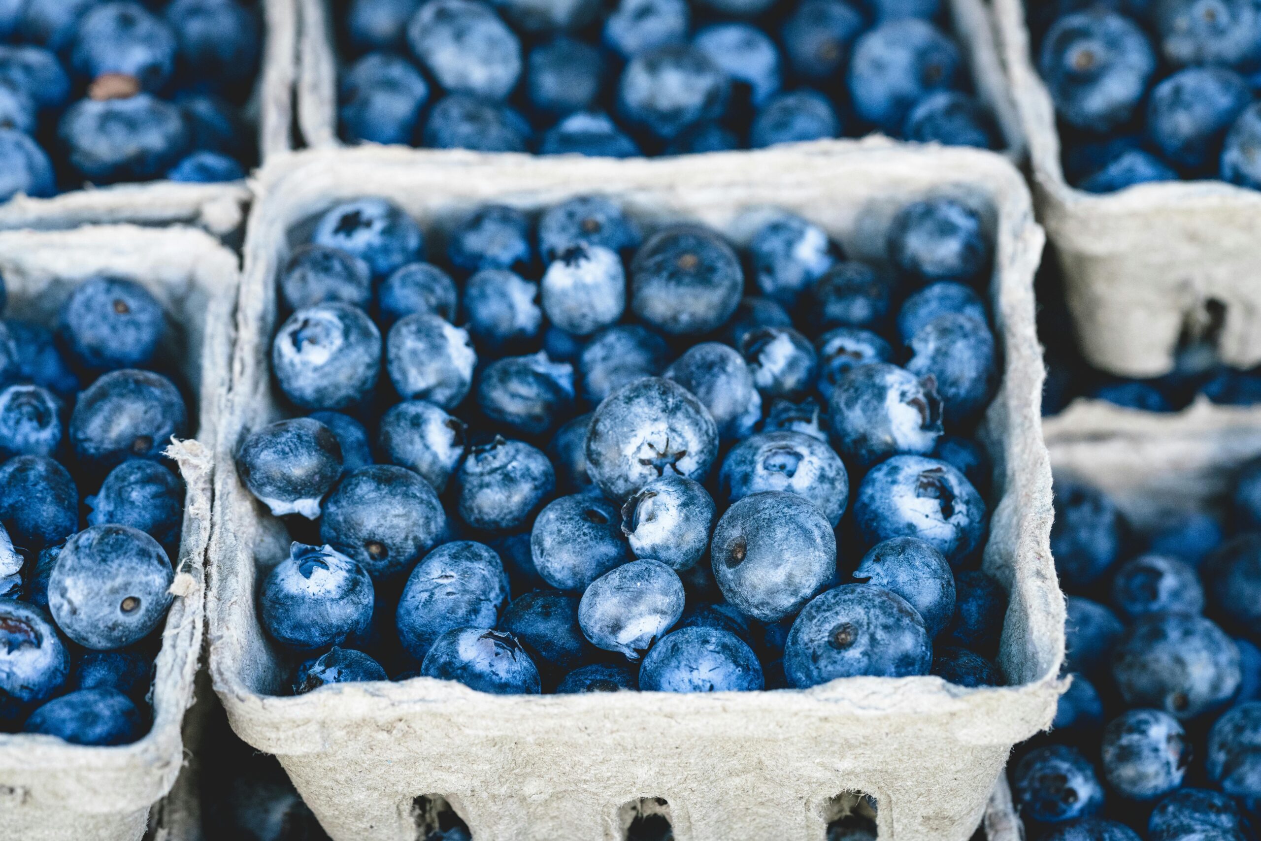 Blueberries. Antioxidants for Clear Skin